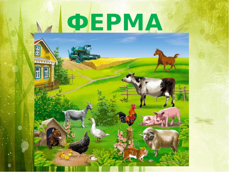 Цифровая ферма презентация