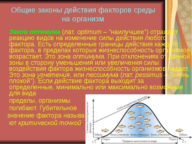 Презентация на тему условия жизни на земле среды жизни и экологические факторы 9 класс