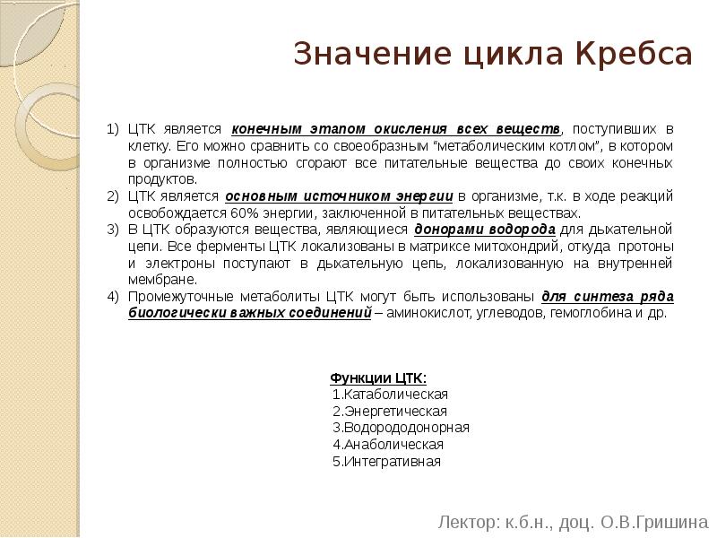 Значение цикла Кребса