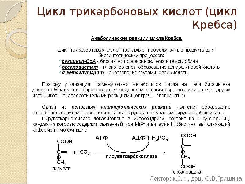 Цикл трикарбоновых кислот (цикл Кребса) Анаболические реакции цикла Кребса Цикл трикарбоновых