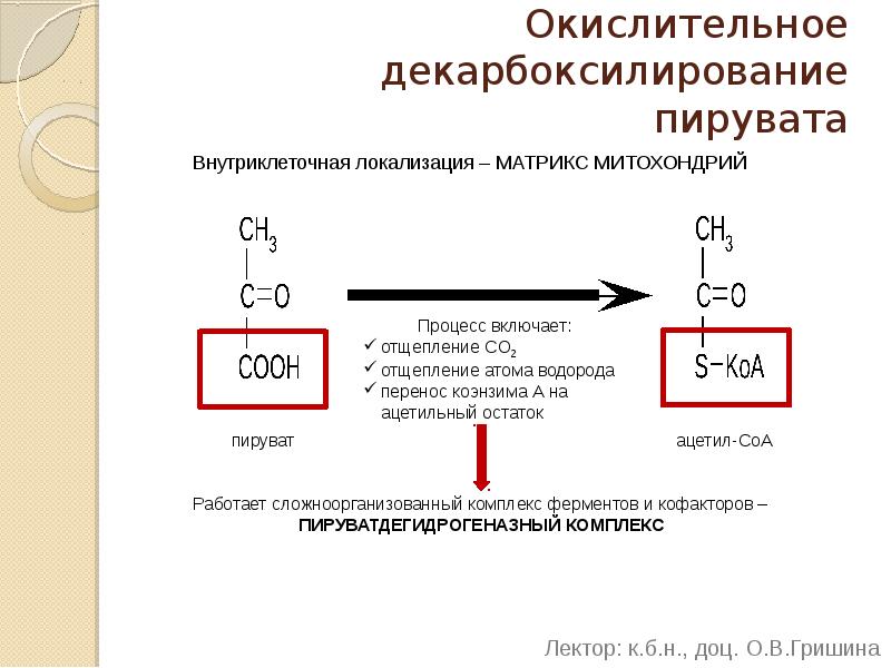 Окислительное декарбоксилирование пирувата схема