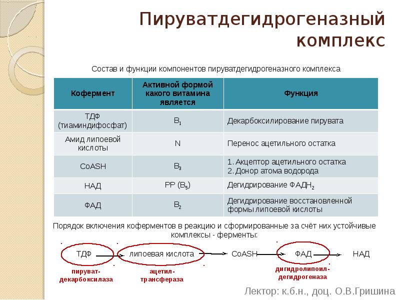 Структурно функциональная организация пируватдегидрогеназного комплекса схема