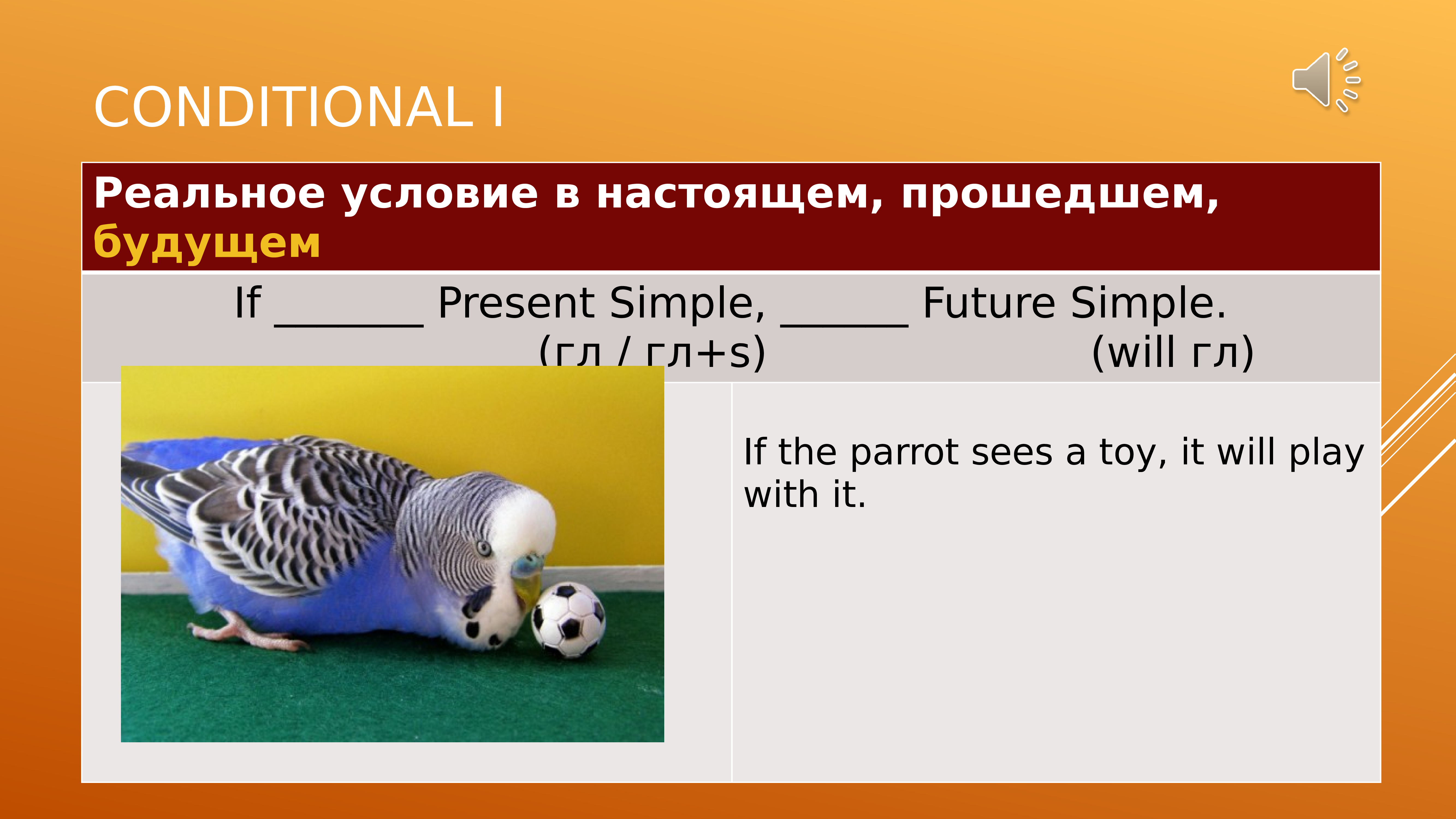 Conditionals спотлайт 8 класс презентация