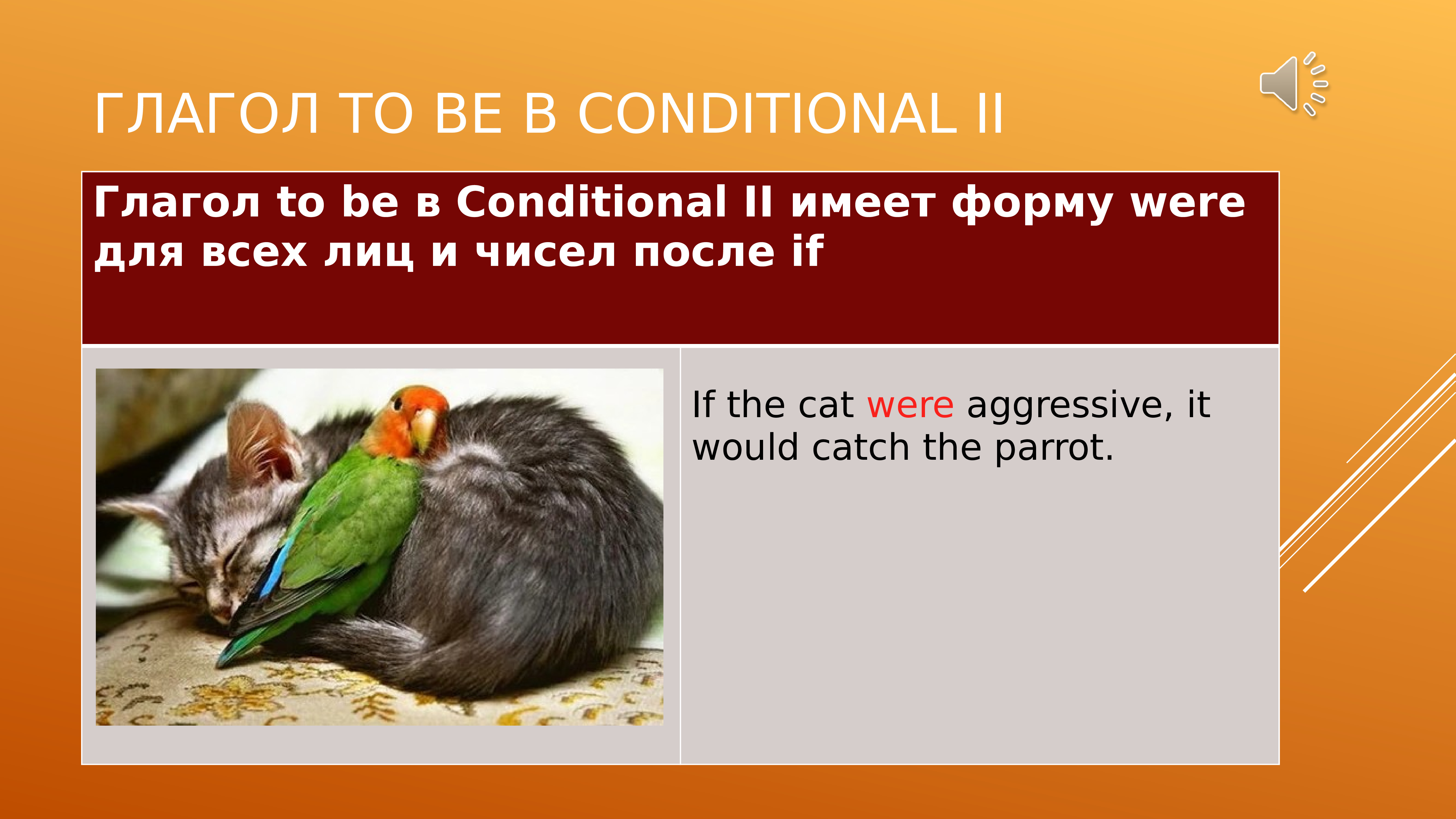 Conditionals презентация 10 класс