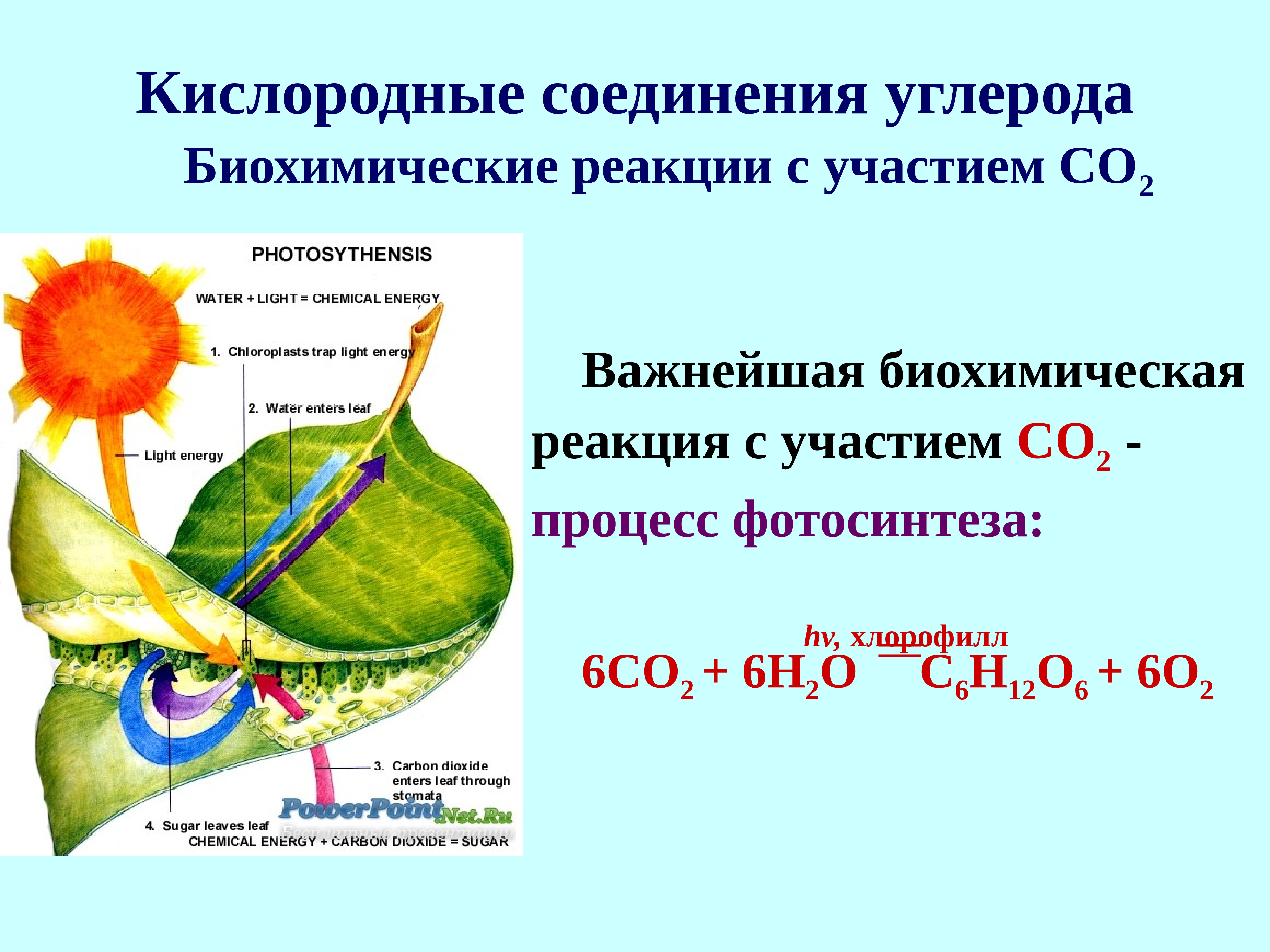 Роль углерода в реакции
