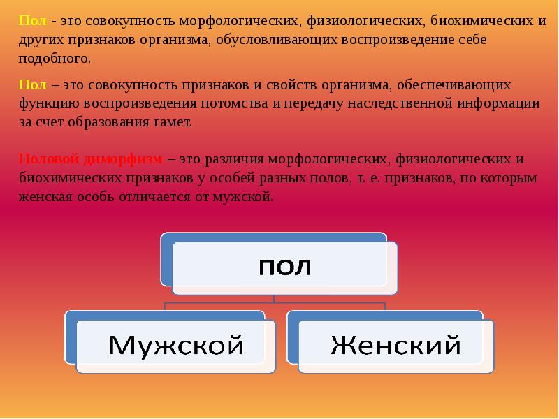 Разнообразие признака в совокупности. Теория наследования пола. Тест генетика пола. Задачи по генетике сцепленные с полом. Генетика пола и наследование сцепленное с полом.