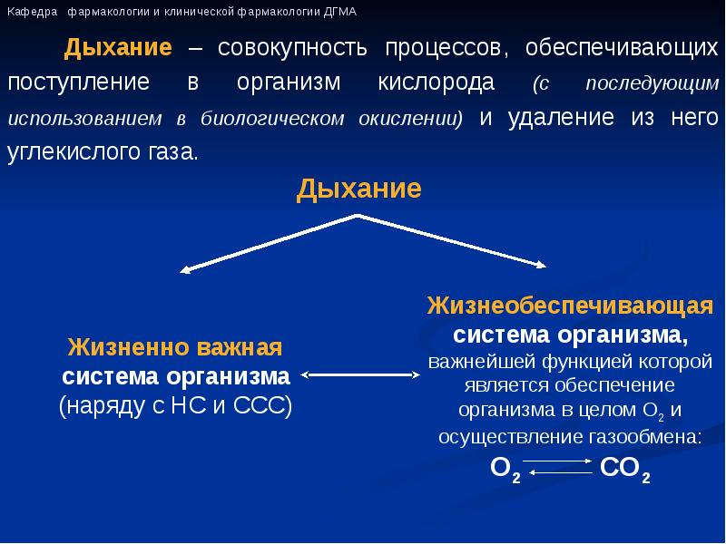 Средства влияющие на органы дыхания презентация