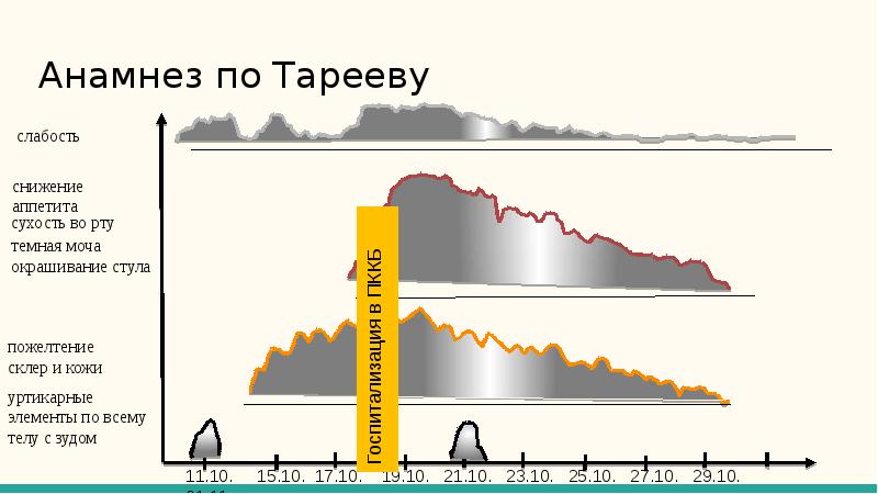 Анамнез по тарееву как рисовать схему