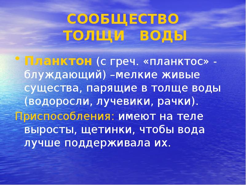 В ручьях и реках в озерах и океанах повсюду кипит жизнь схема предложения