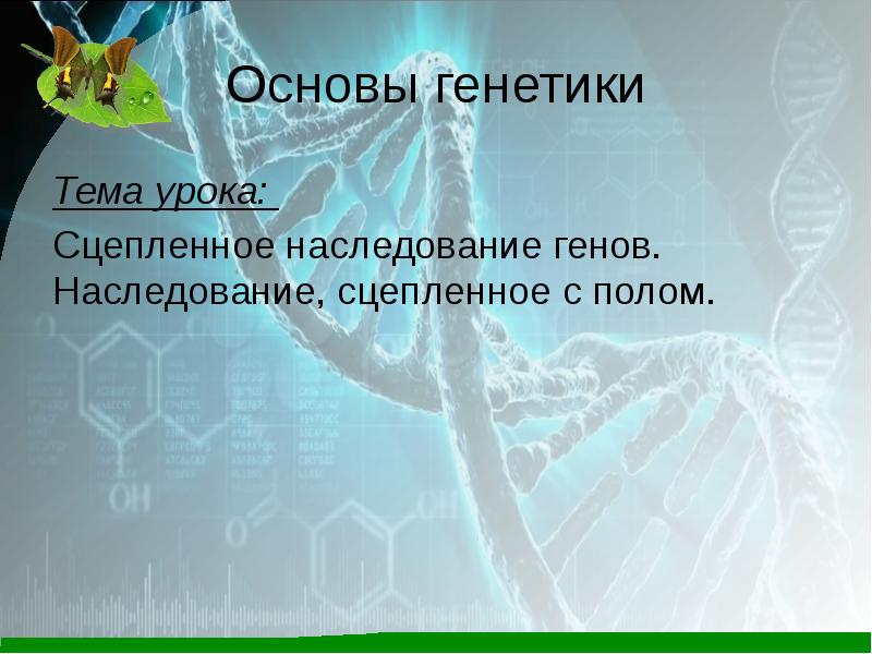 Основы генетики проект 9 класс