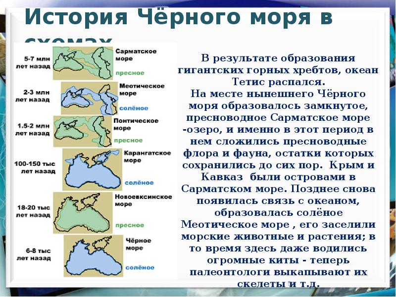 Впадина черного моря