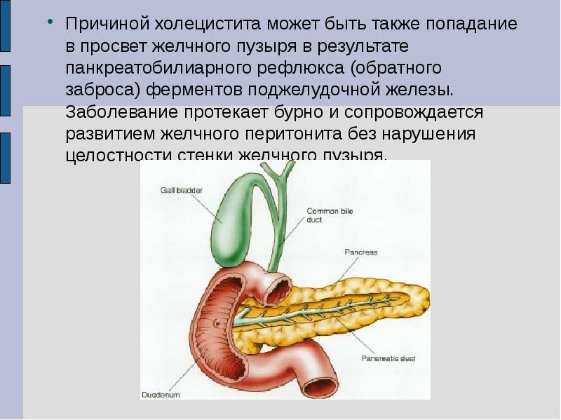 Холецистит қазақша презентация