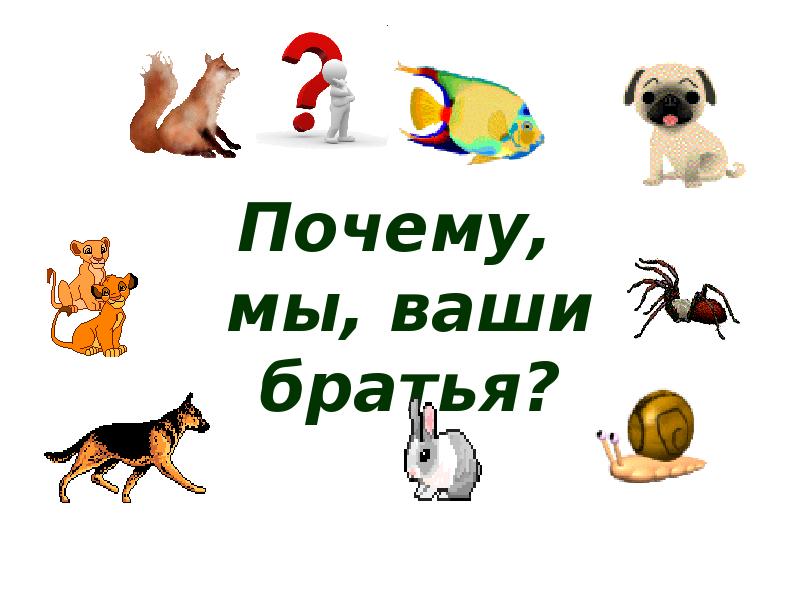 Почему, мы, ваши братья?