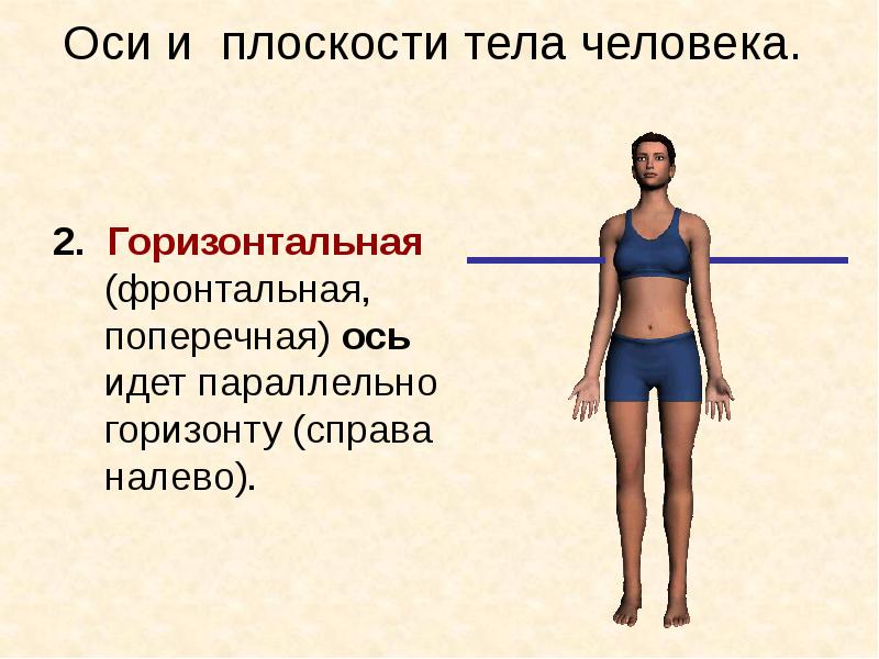 Параллельно идущий. Продольная и поперечная ось. Поперечная фронтальная ось. Поперечная ось человека. Горизонтальная поперечная ось.