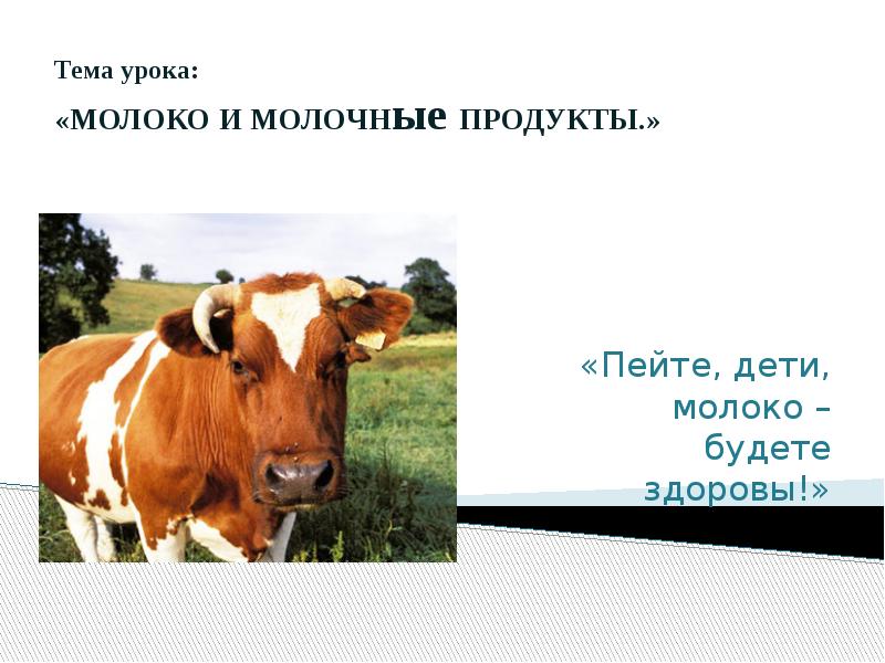 Проекты учеников 5 класс