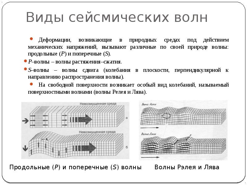 Какой тип сейсмических волн показан на рисунке