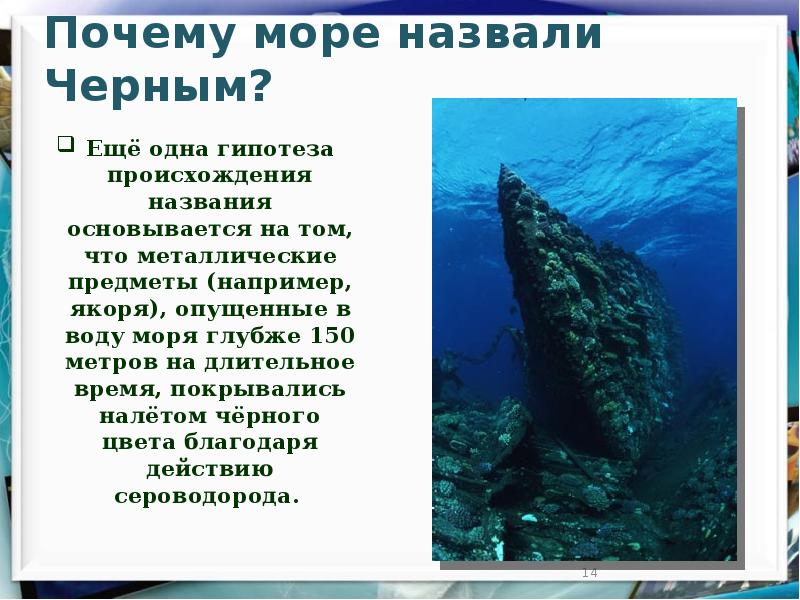 Черное море проект