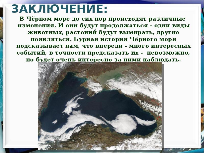 Почему черное море