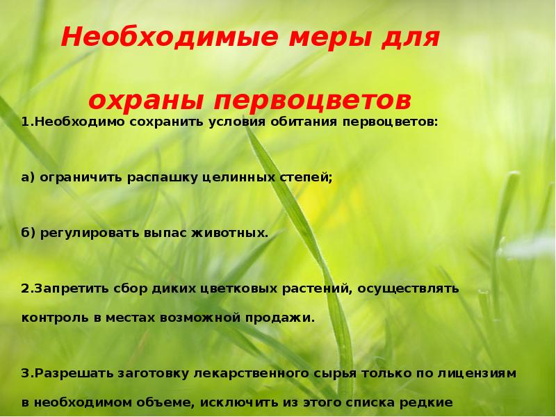 Режим Работы Магазина Первоцвет Киров