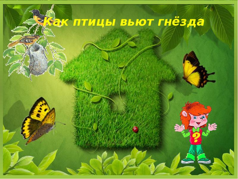 Как птицы вьют гнёзда Как птицы вьют гнёзда