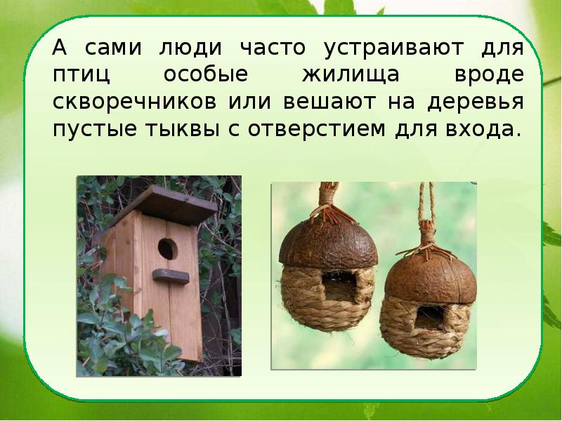 Птицы на гнездах презентация