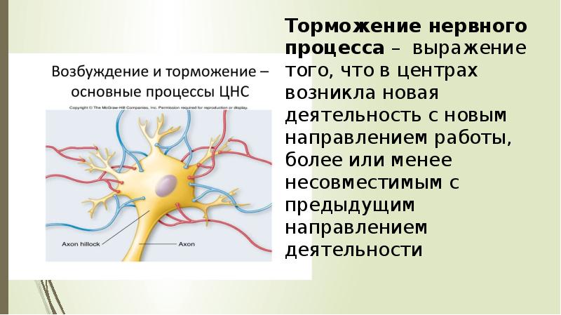 Презентация о доминанте