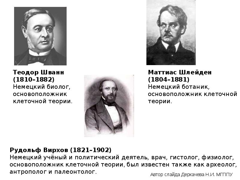 Согласно клеточной теории. Шванн Шлейден Вирхов. Ученый Шванн и Шлейден. Шлейден и Шванн теория. Маттиас Шлейден и Теодор Шванн клеточная теория кратко.