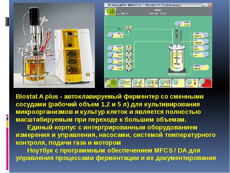 Промышленная микробиология презентация