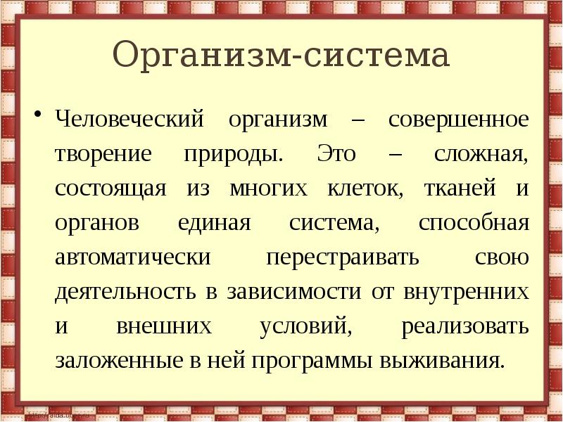 Презентация "Организм человека" (9 класс) по биологии - скачать проект