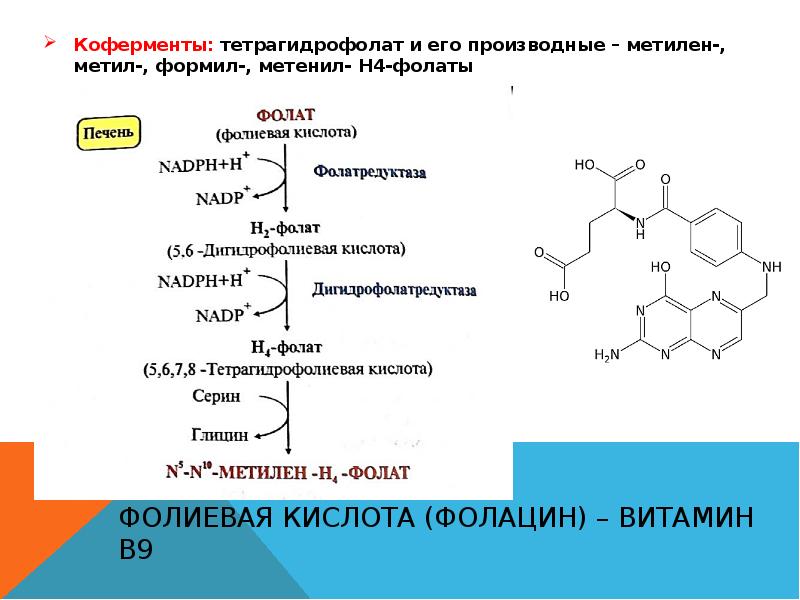 Витамины презентация биохимия