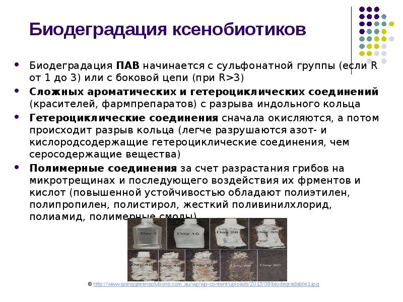 Биодеградация ксенобиотиков
Биодеградация ПАВ начинается с сульфонатной группы (если R от Биодеградация ксенобиотиков
Биодеградация ПАВ начинается с сульфонатной группы (если R от