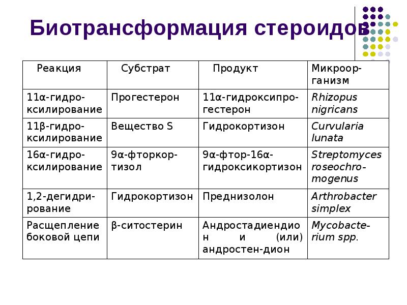 Биотрансформация стероидов Биотрансформация стероидов