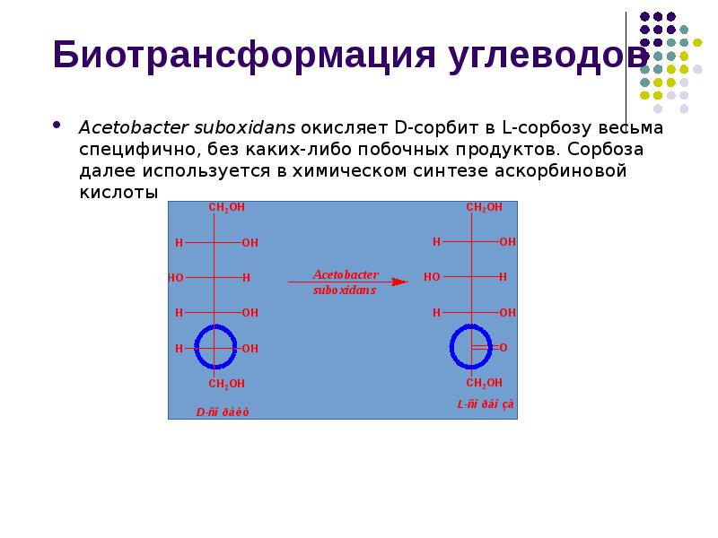 Биотрансформация углеводов
Acetobacter suboxidans окисляет D-сорбит в L-сорбозу весьма специфично, без Биотрансформация углеводов
Acetobacter suboxidans окисляет D-сорбит в L-сорбозу весьма специфично, без