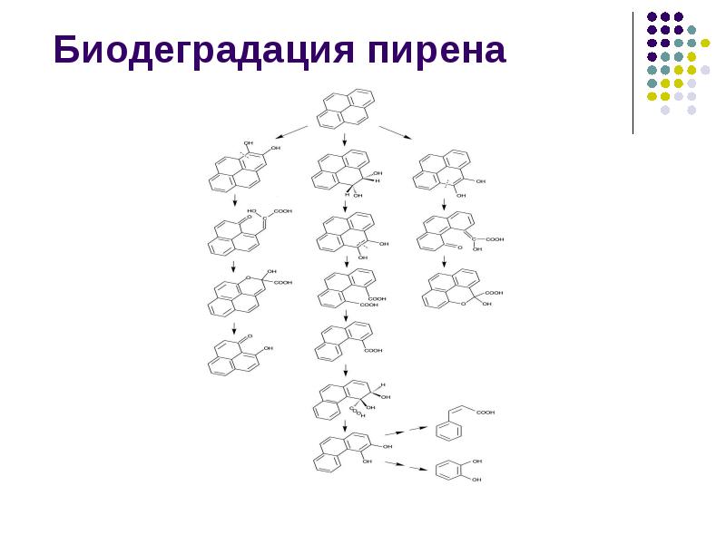 Биодеградация пирена Биодеградация пирена