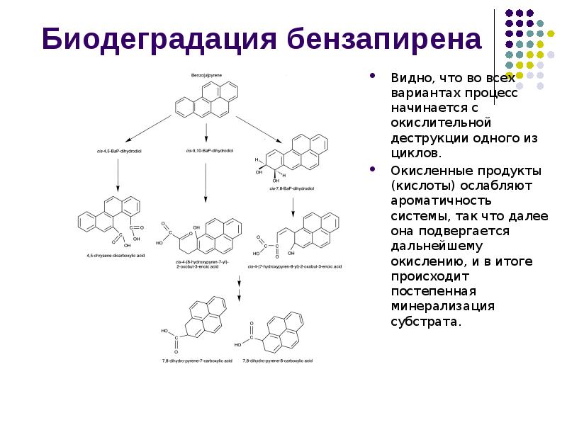 Биодеградация бензапирена
Видно, что во всех вариантах процесс начинается с окислительной Биодеградация бензапирена
Видно, что во всех вариантах процесс начинается с окислительной