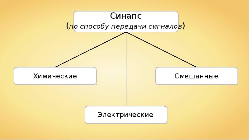 Состоит из огромного количества