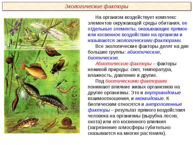 Среда обитания организмов экологические факторы 7 класс презентация