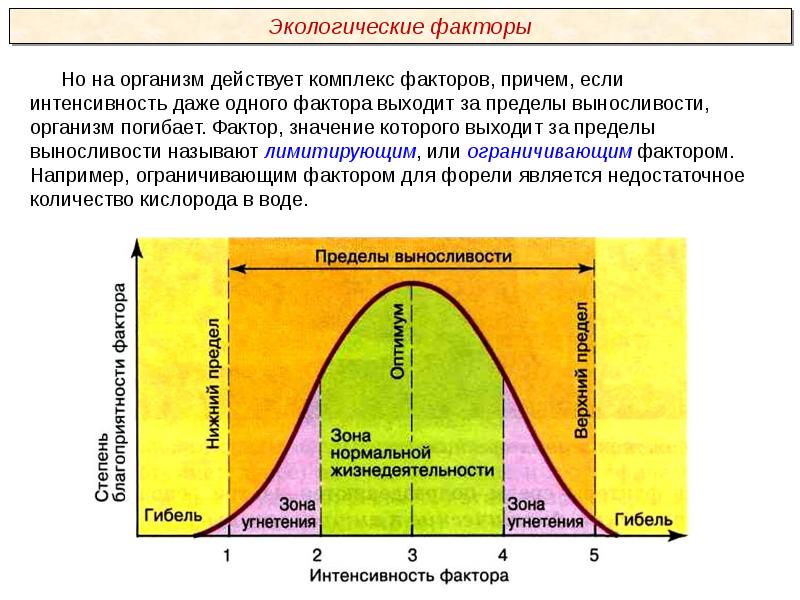 Экологические факторы презентация 11 класс