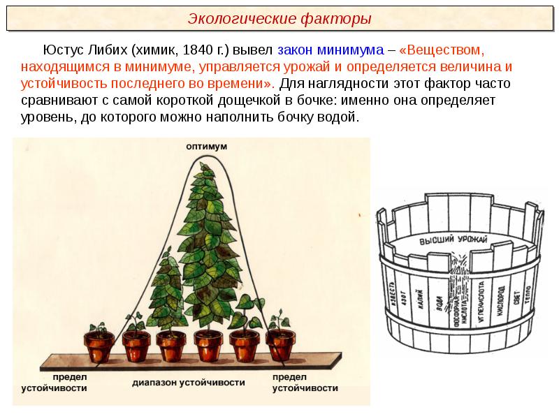 На рисунке изображена бочка либиха иллюстрирующая зависимость урожая от лимитирующего фактора