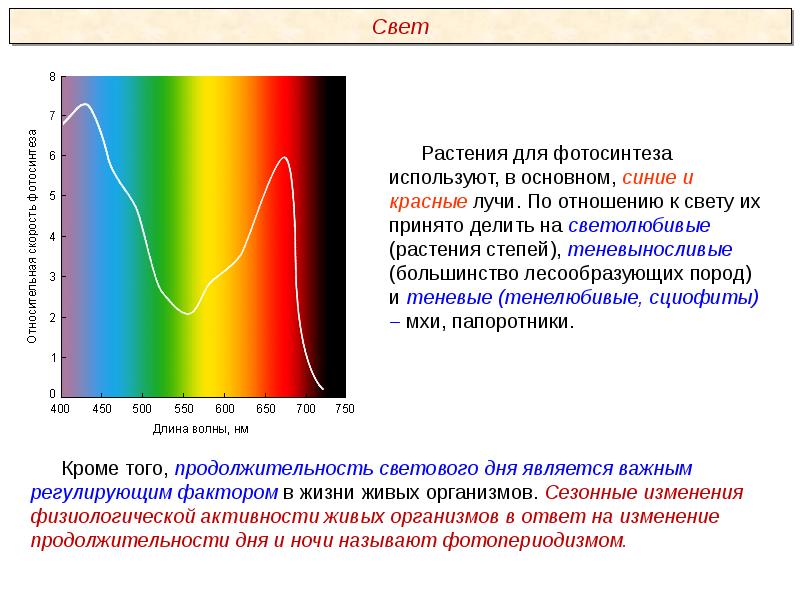 Пименов экология презентация