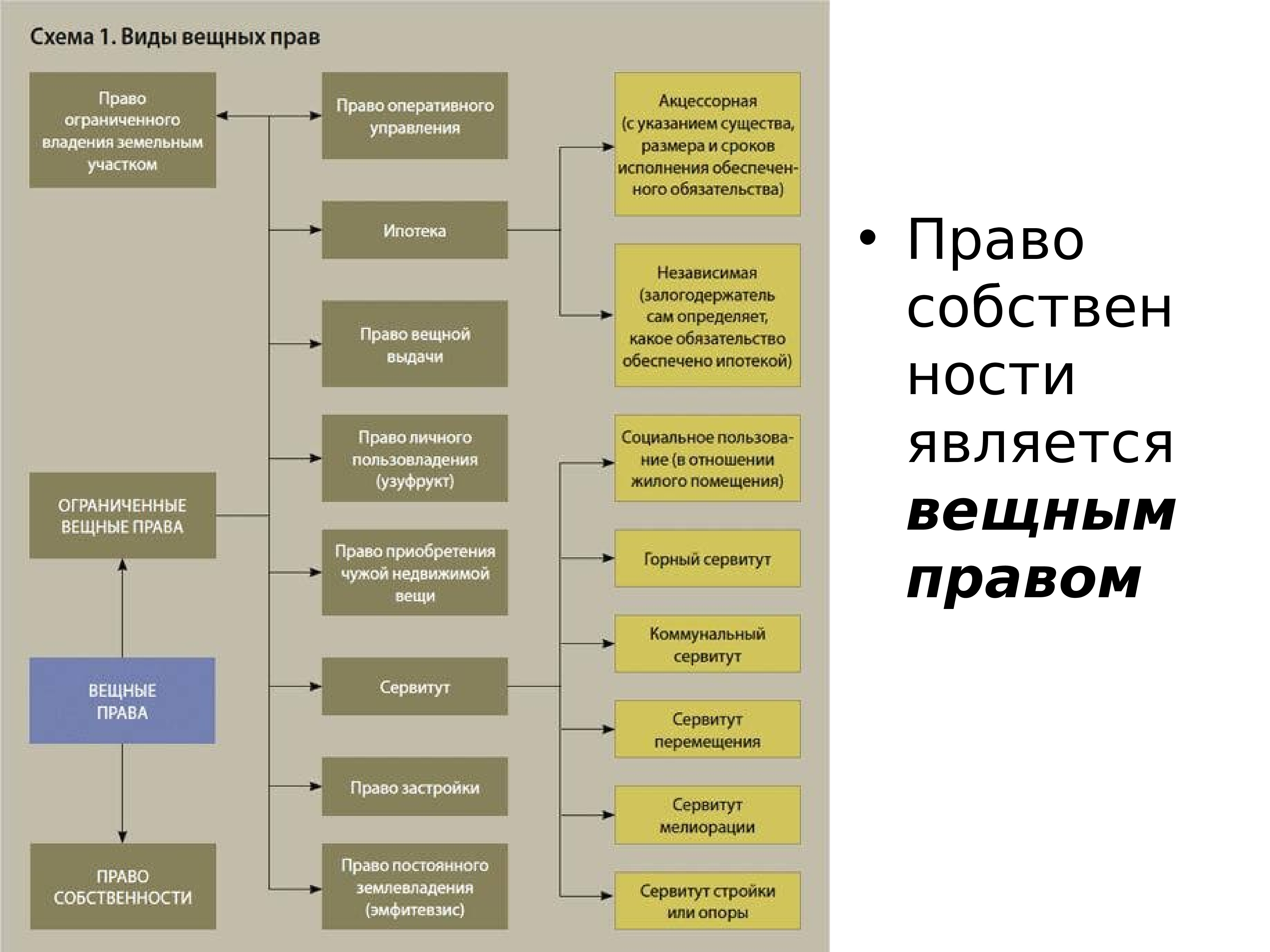 Составьте схему «виды вещных прав».