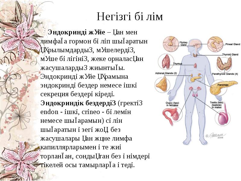 Ішкі секреция бездері аурулары презентация