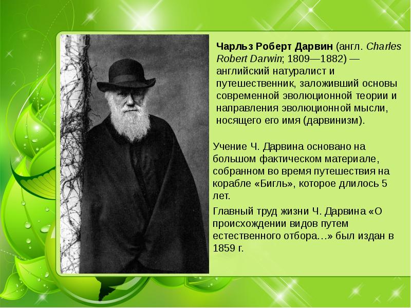 Презентация по биологии 7 класс чарльз дарвин о причинах эволюции животного мира