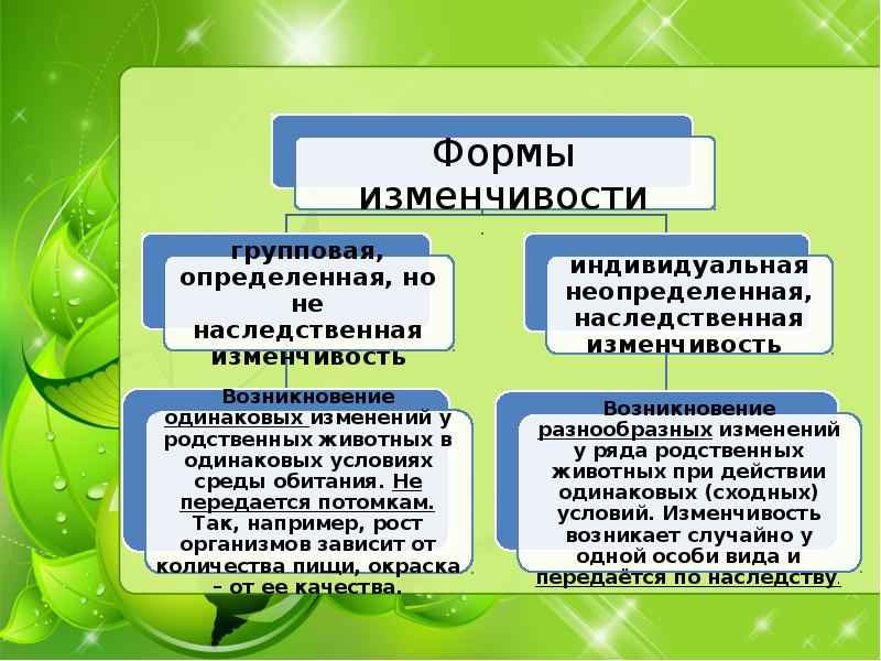 Эволюция 7 класс презентация