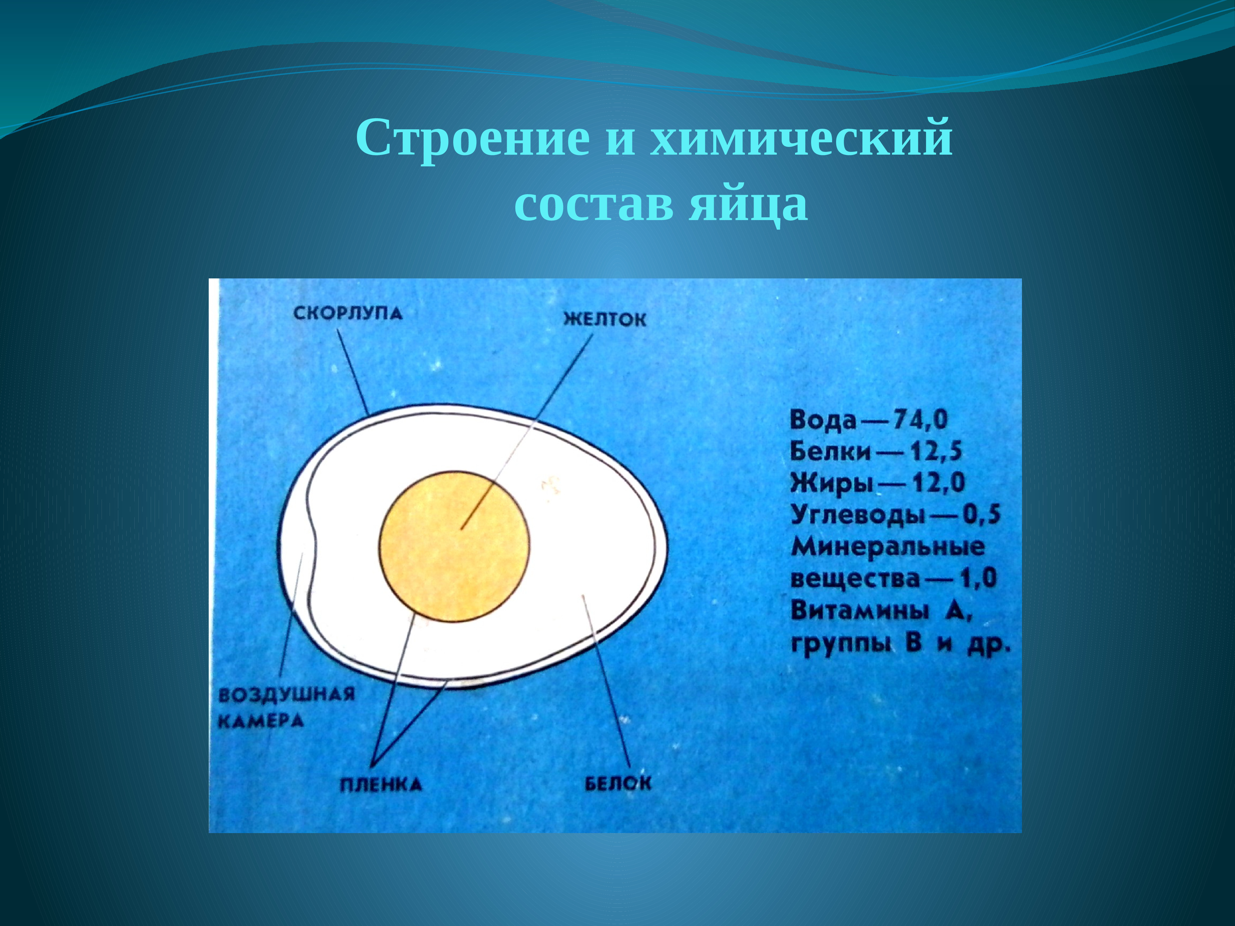 Блюда из яиц презентация