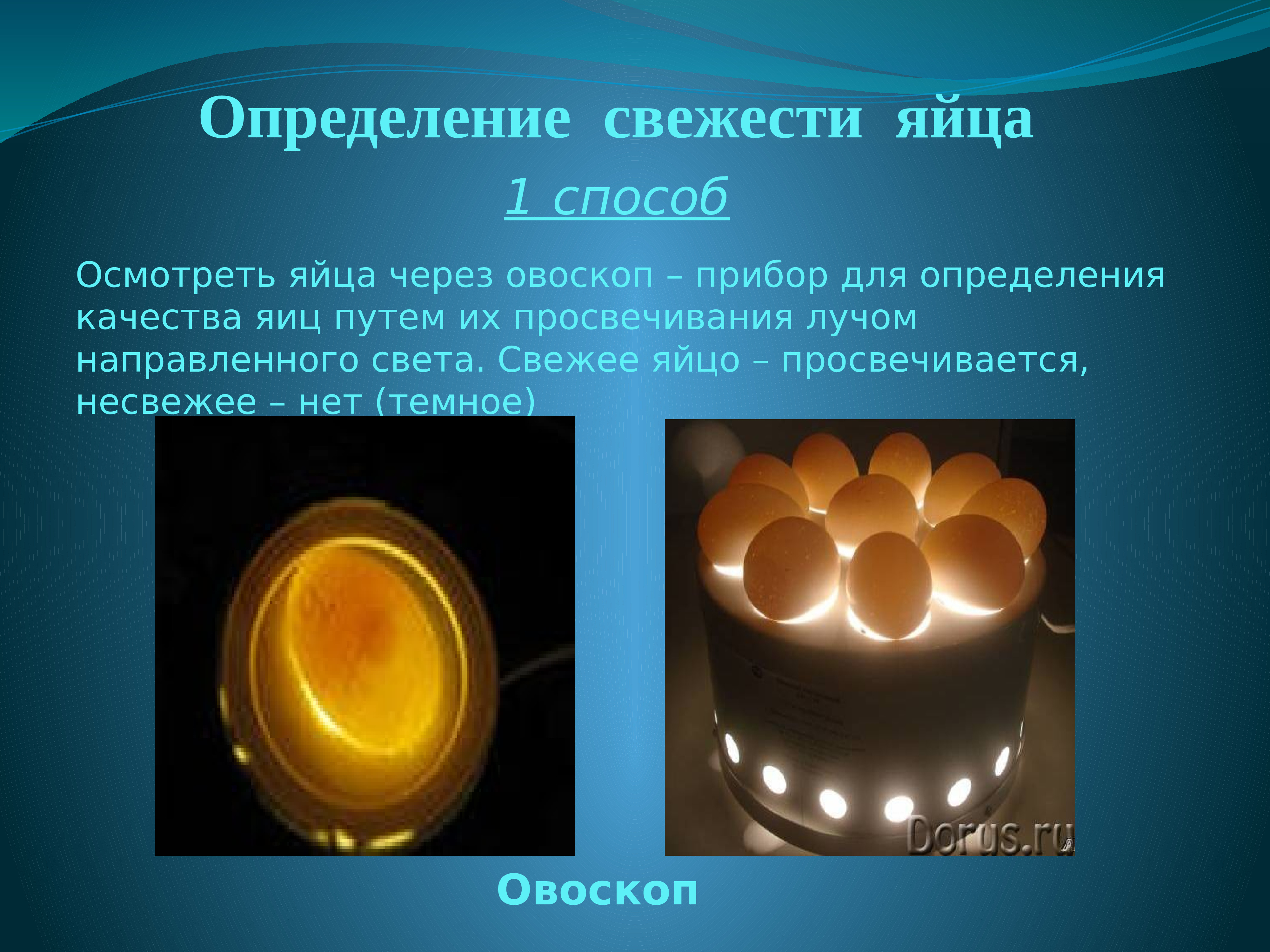 Определение свежести яиц