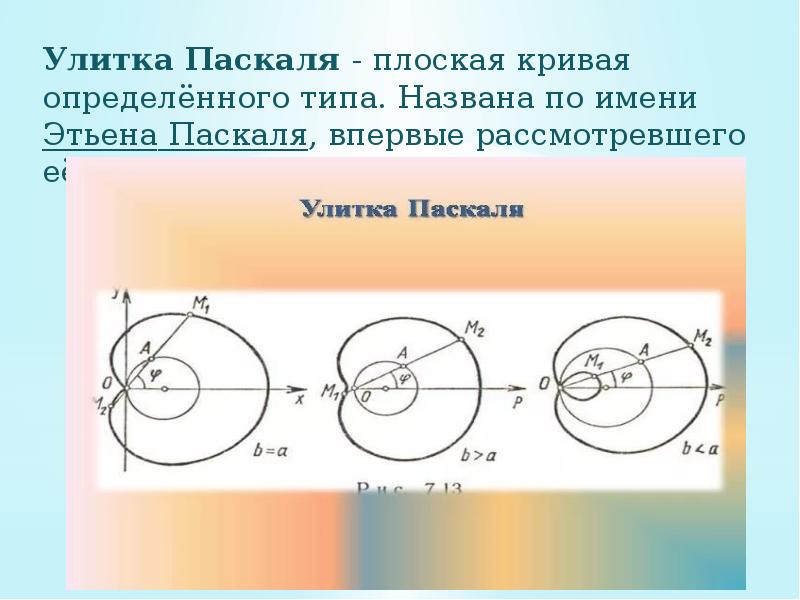 Улитка паскаля презентация