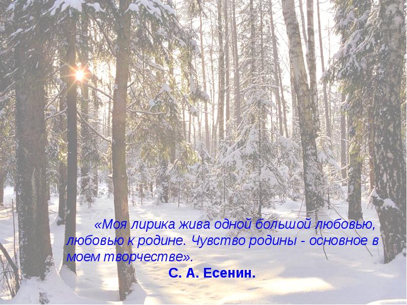 Моя лирика жива одной большой любовью любовью к родине тема. Тема Родины. Моя лирика жива одной большой любовью любовью к родине фото Есенина.