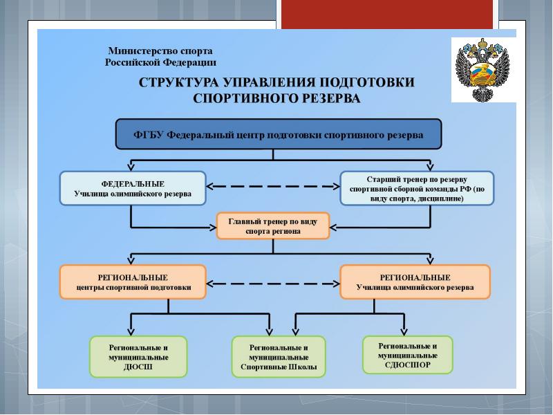 Бизнес план в сфере спорта