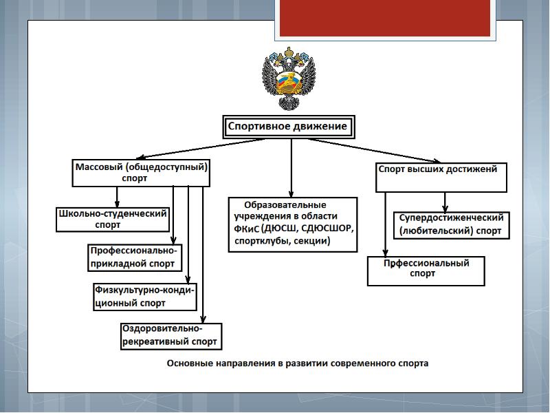 Федеральный проект развитие спорта высших достижений